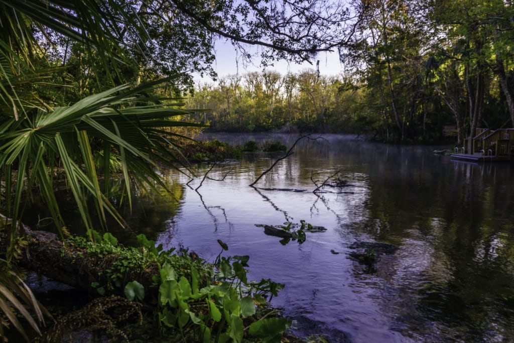 Best hiking in Florida Wekiwa Springs