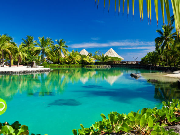 palm-lined lagoon with thatched huts