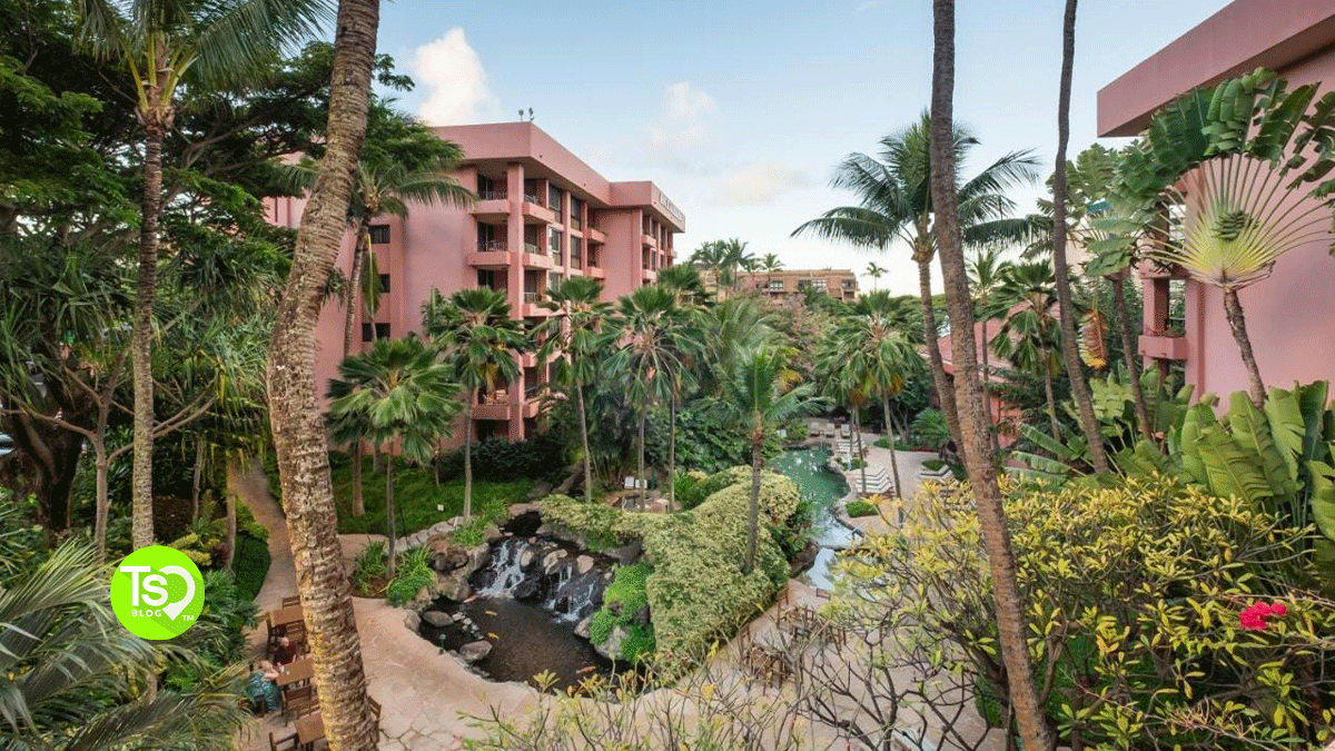 Vacation Resorts International