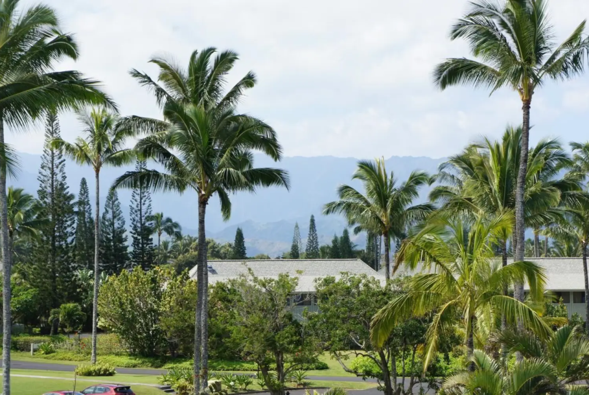 Cliffs at Princeville View