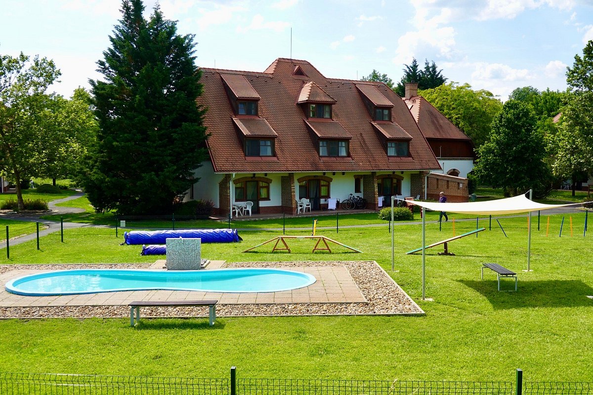 Club Dobogomajor Pool