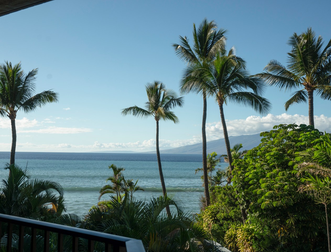 Hono Koa Resort View