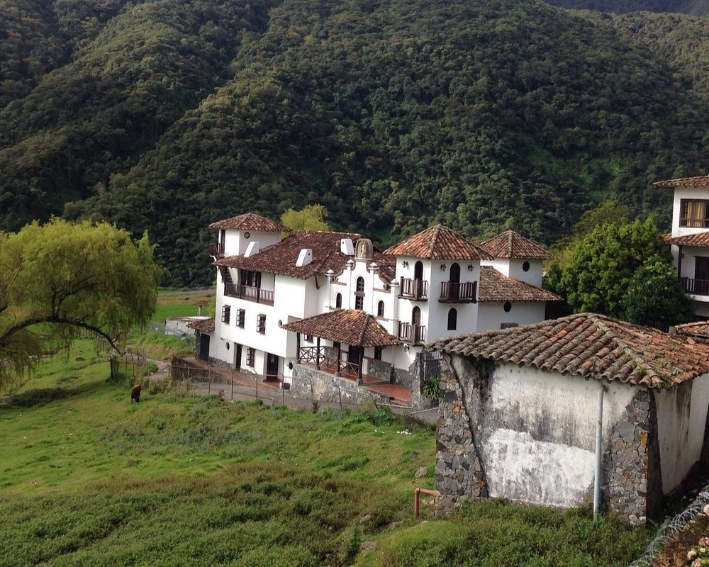 Grounds