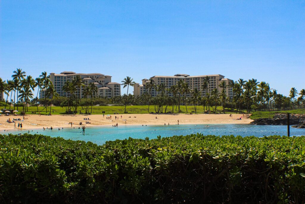 Beach View