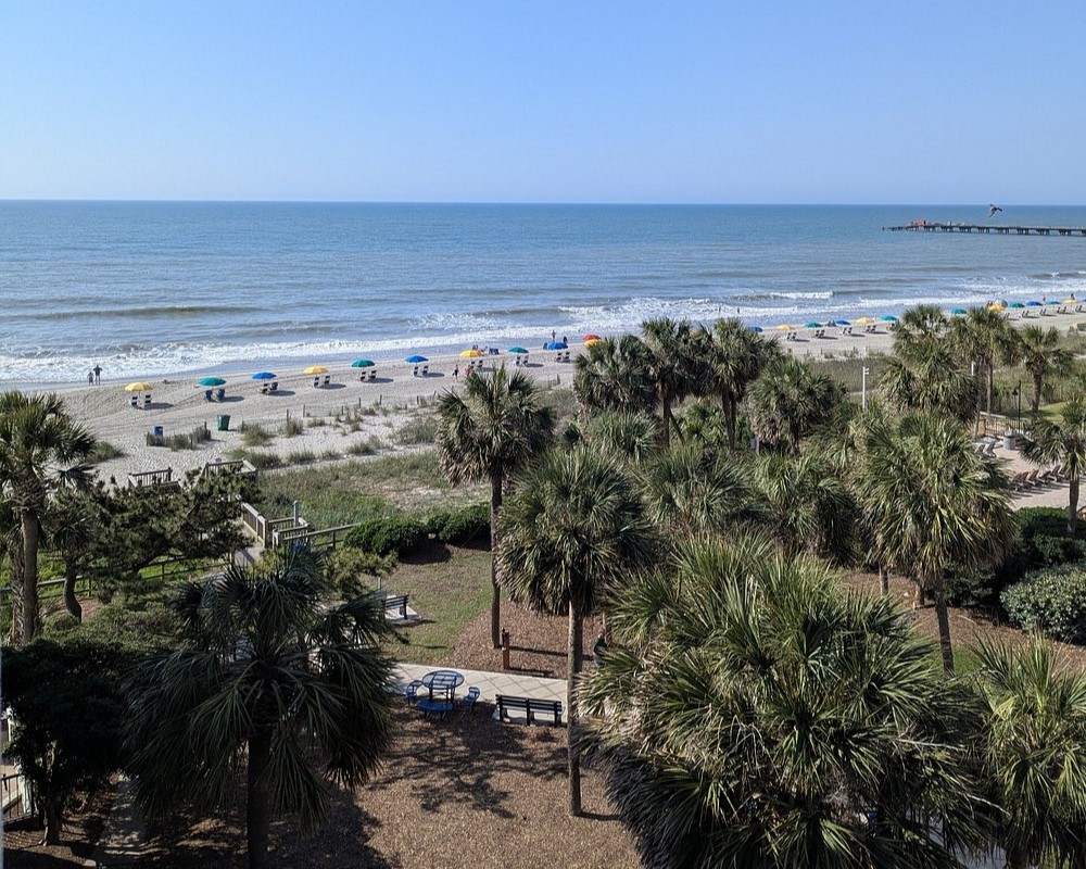 Beach View