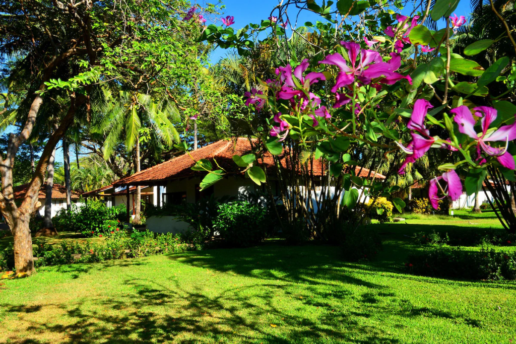 Villas Playa Samara Flower