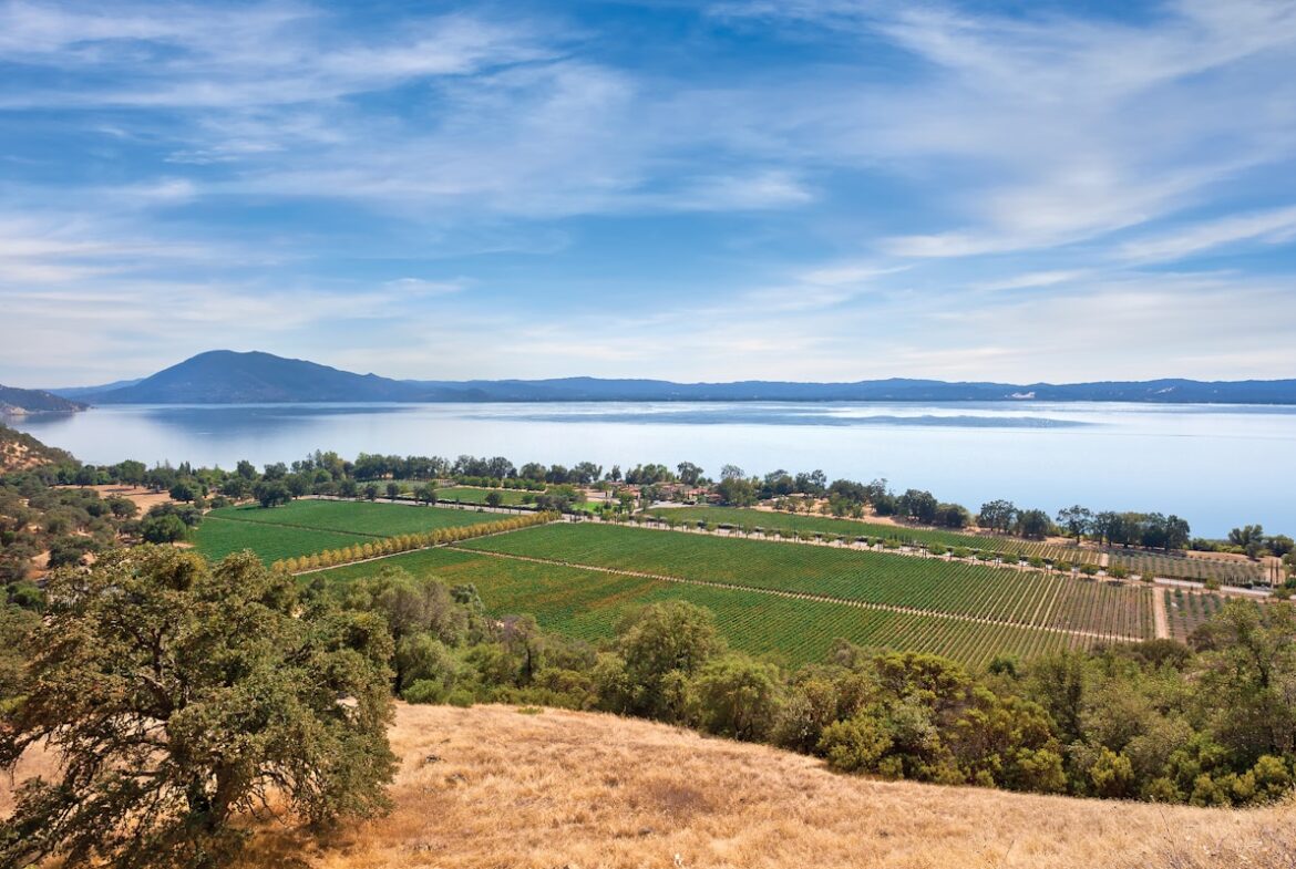 Wine Country