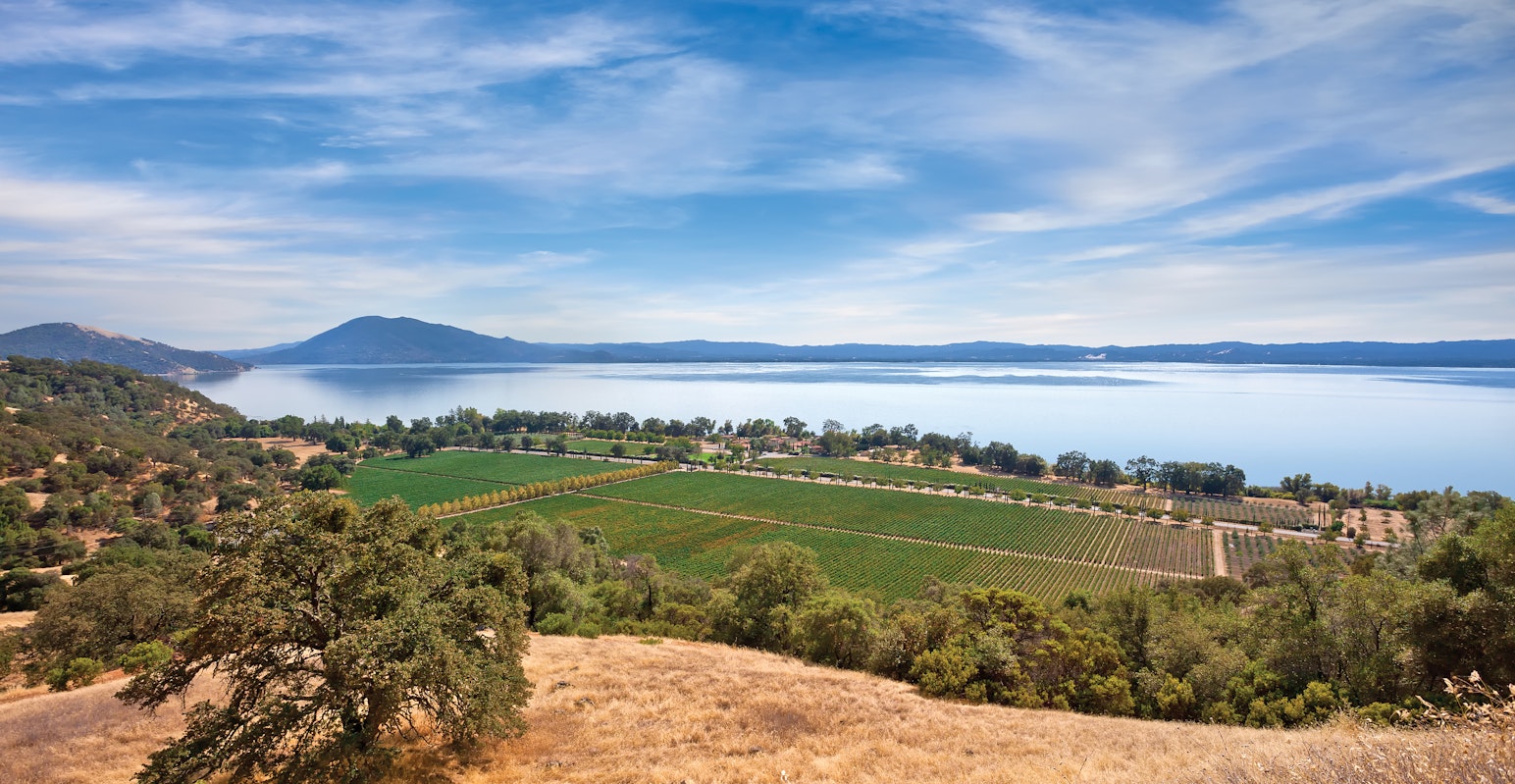 Wine Country