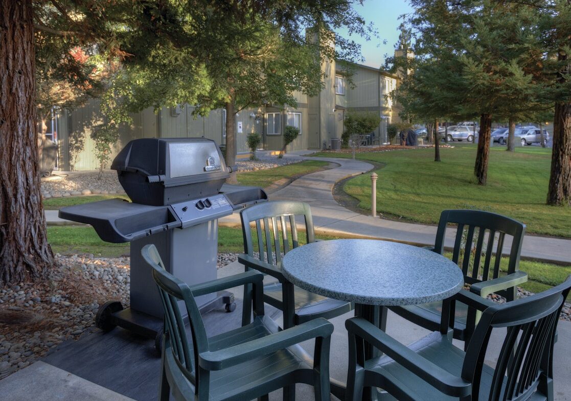 BBQ Grills