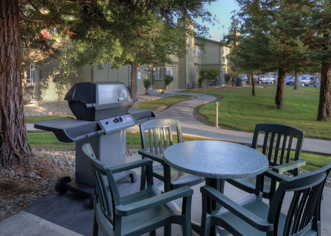 BBQ Grills
