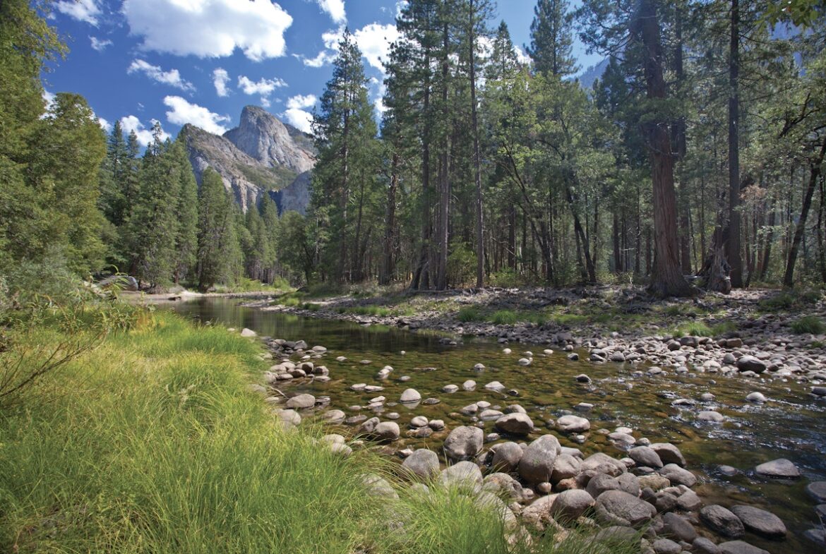 Bass Lake