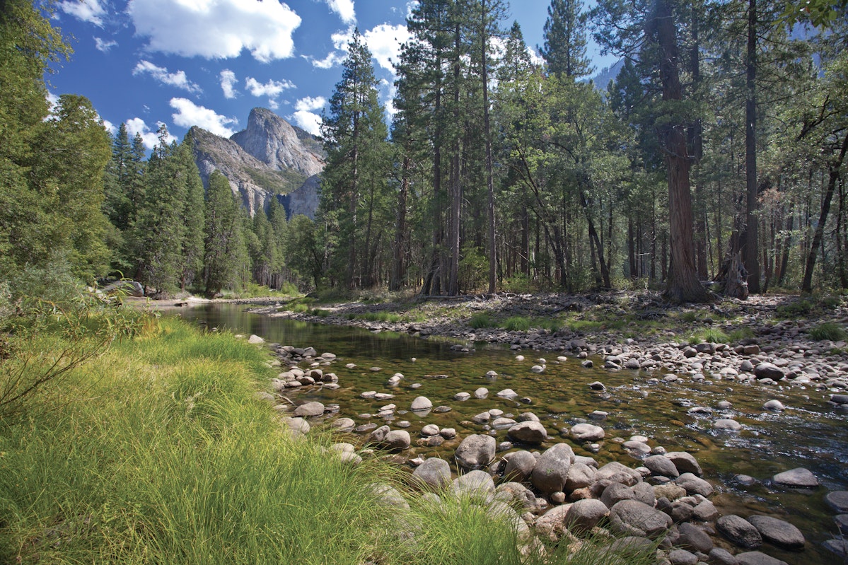 Bass Lake