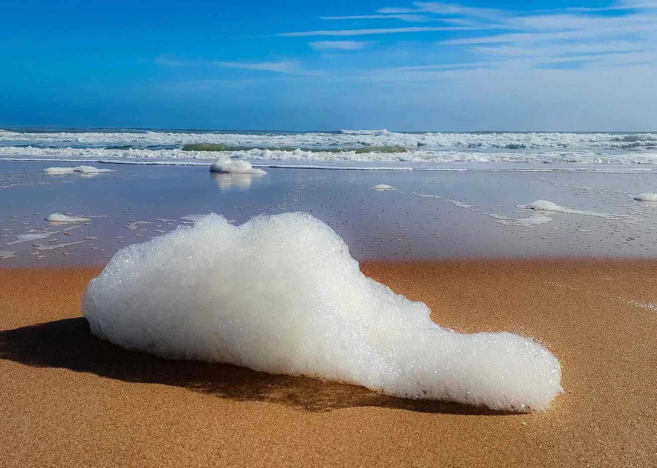 Ormond Beach Foam