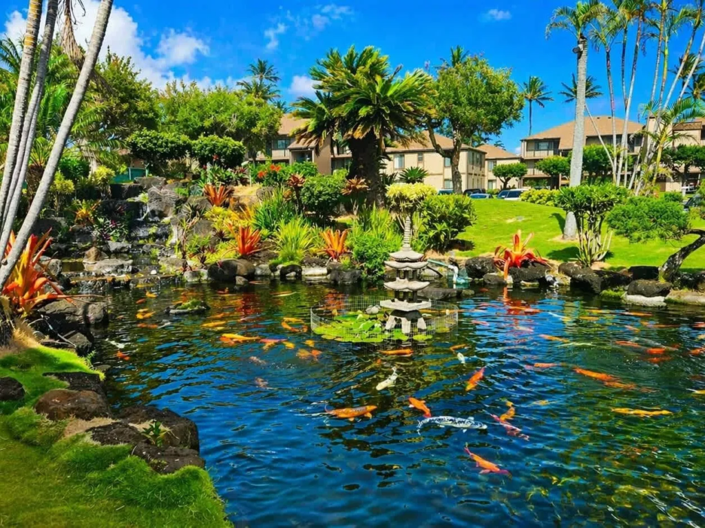 Pono Kai Resort by Bluegreen Vacations RCI Hawaii: Pono Kai Fish Pond