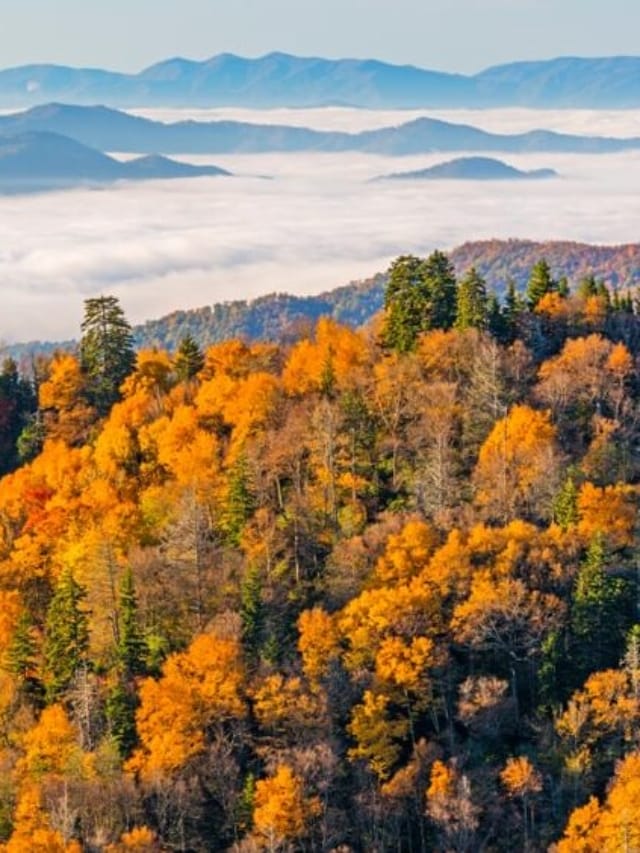 bucket list vacations