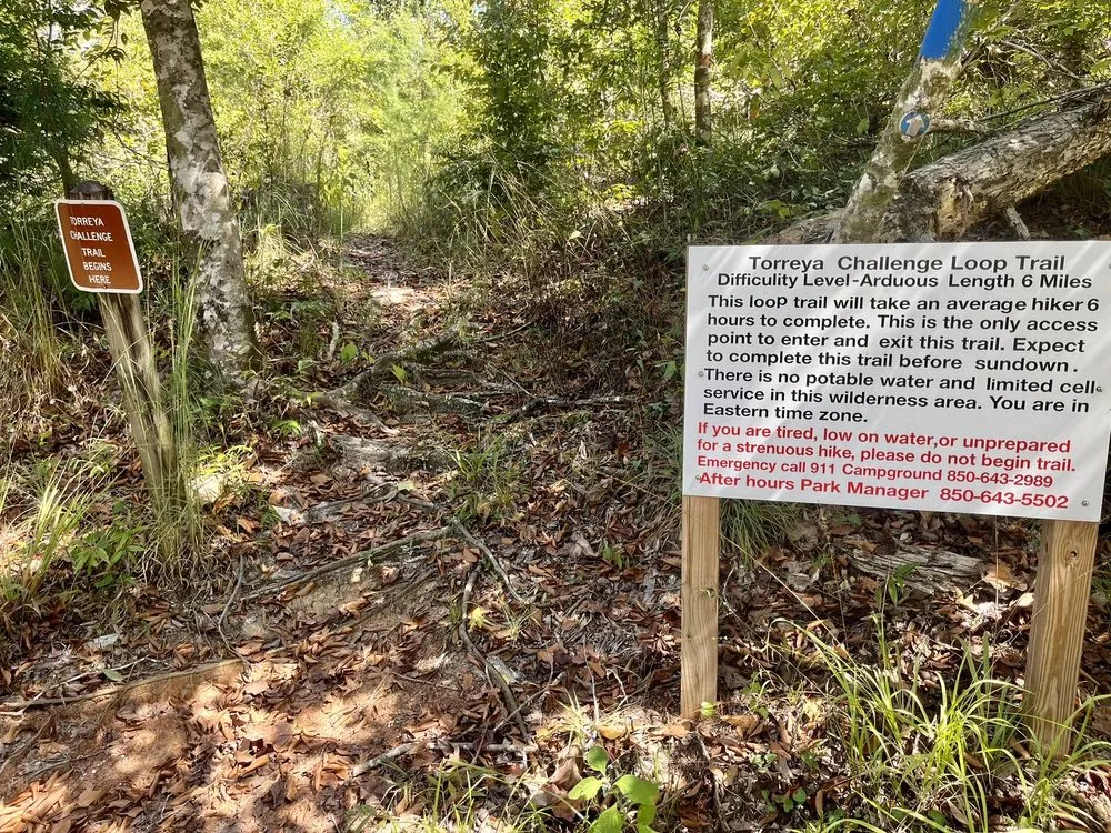 Challenge Loop Torreya