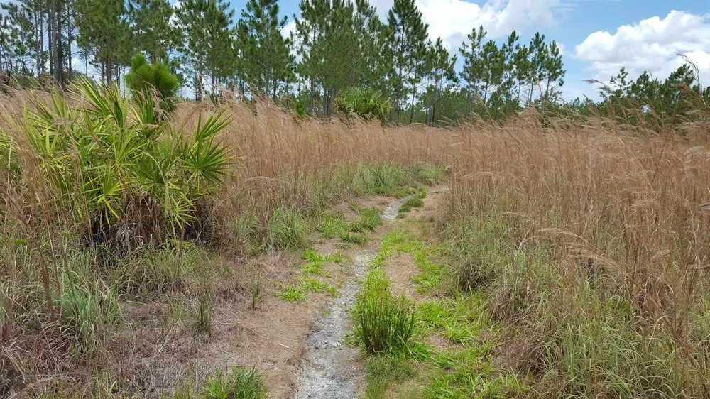 Little Manatee River Trail