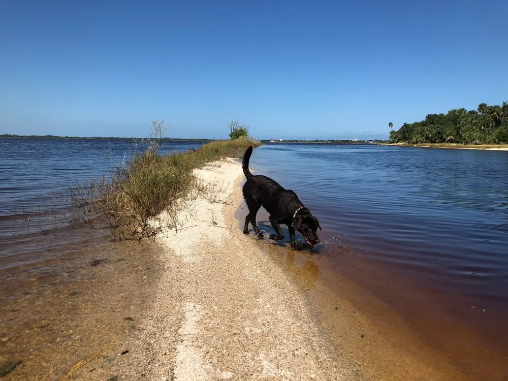 Tomoka State Park Sand Bar