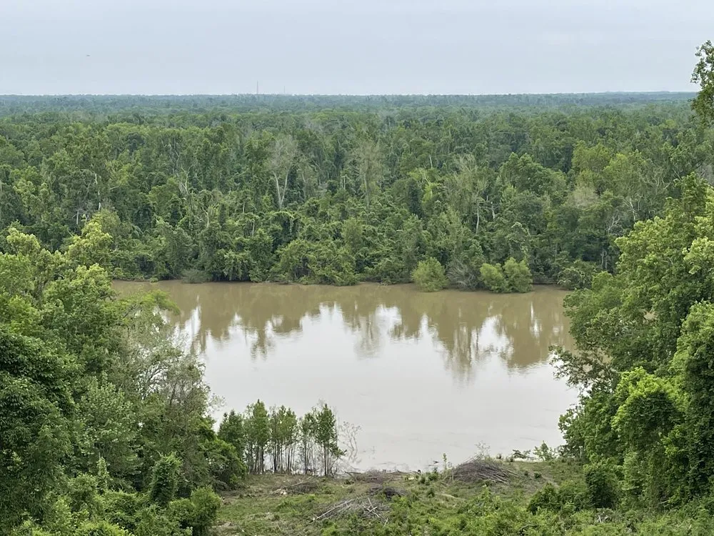 Florida Hiking: Torreya State Park