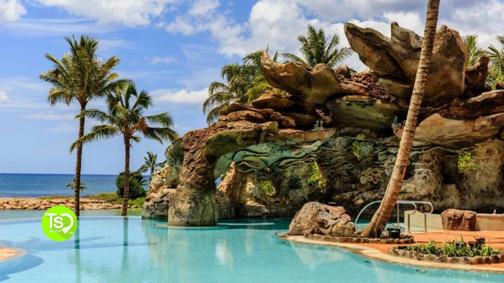 timeshare rentals by owner
