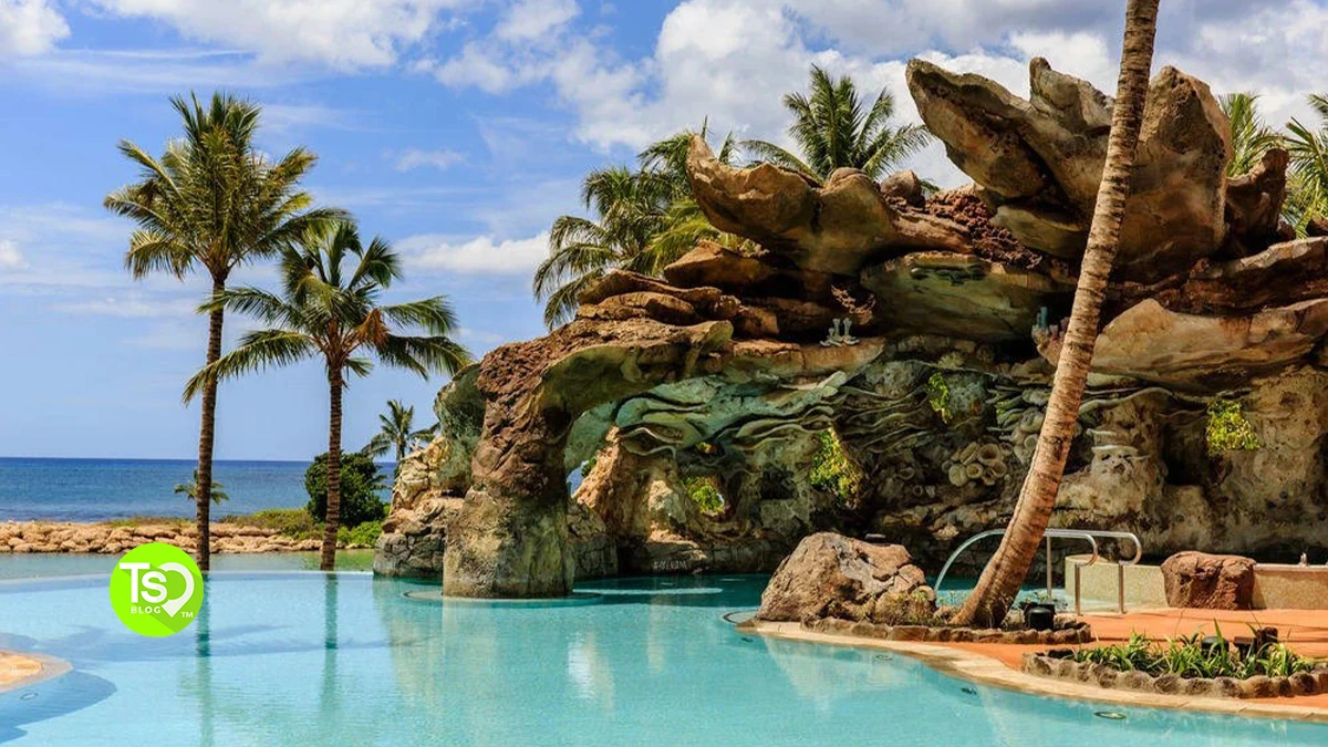 timeshare rentals by owner