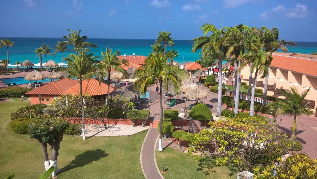 Palm-lined grounds at Aruba Beach Club