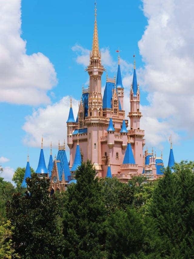 What’s Coming at Disney?