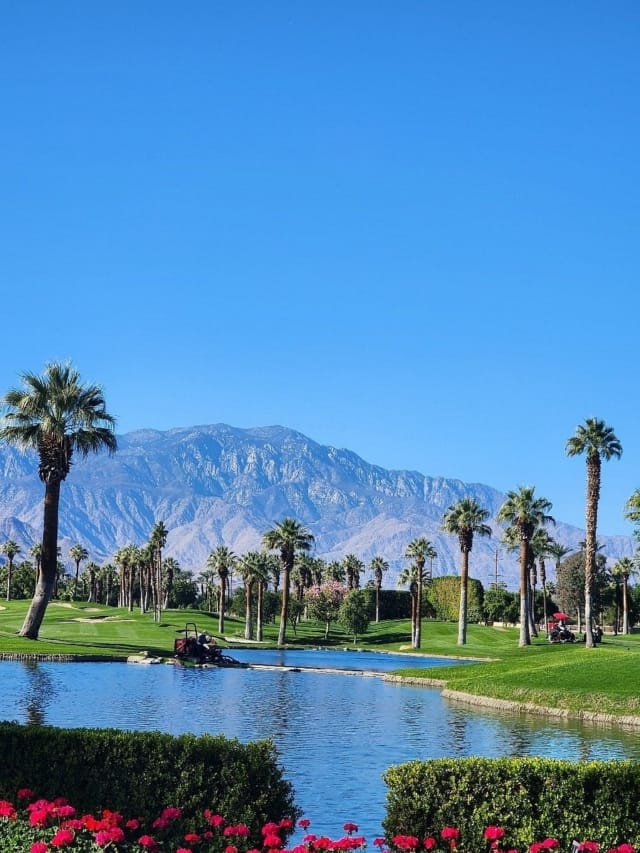 How Do Timeshare Vacation Rentals Work?