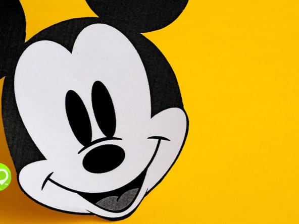 DVC Rentals