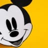 DVC Rentals