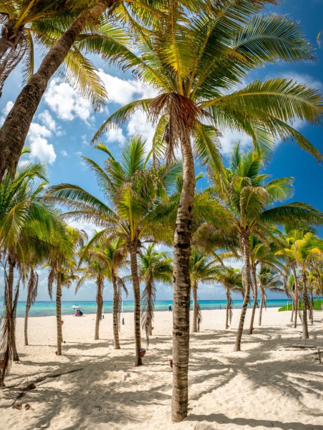 Mexico Beach Rentals You Must Vacation In