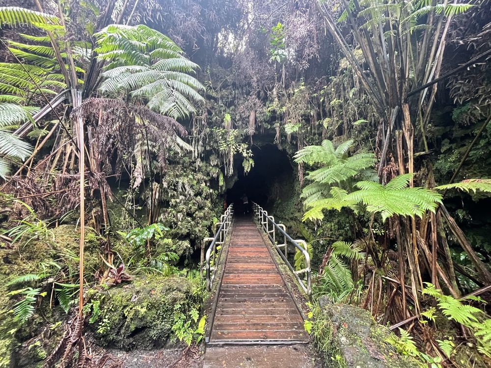 Thurston Lava Tube in Hawaii Volcanoes, one of the best national parks in the USA