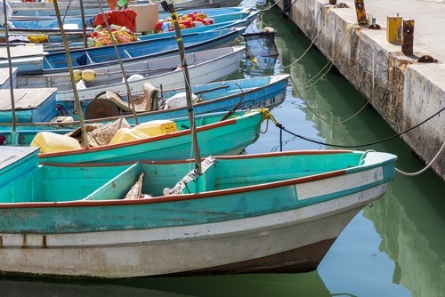 Nuevo Vallarta Boats