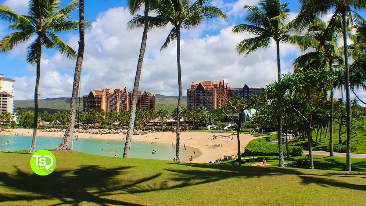 How Much Is a Timeshare in Hawaii