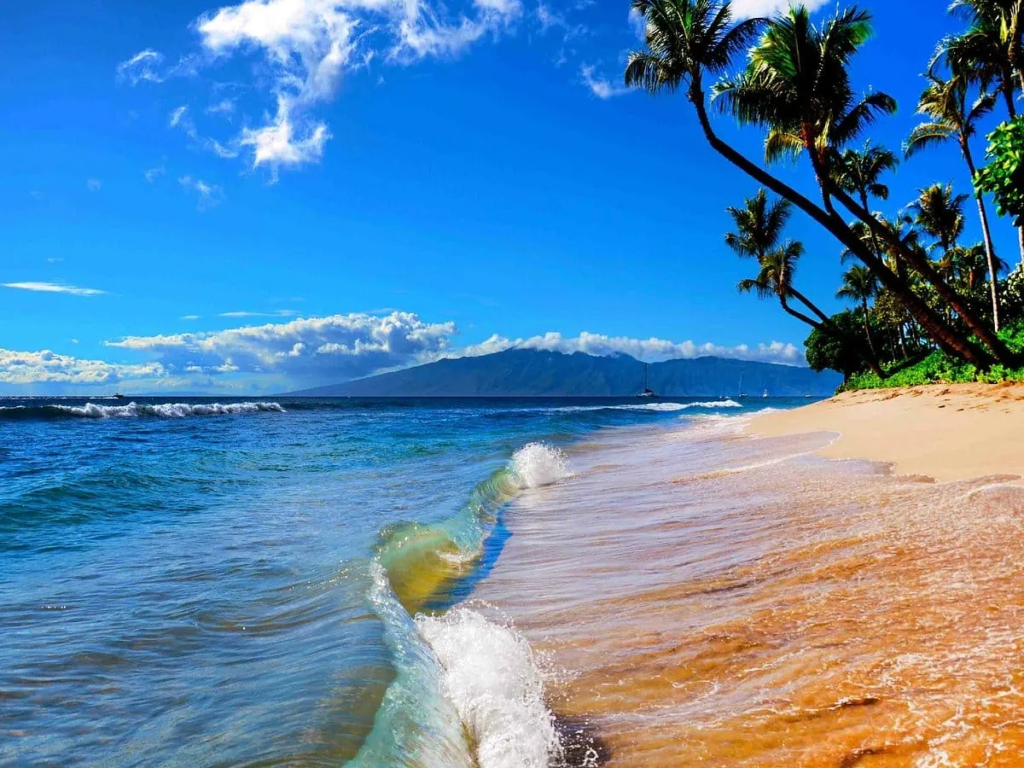 Maui Beach