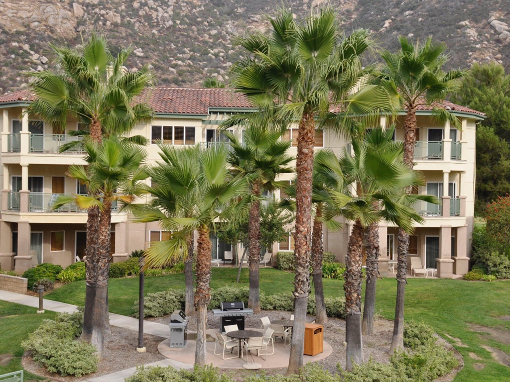Outdoor BBQ grilling stations and a patio dining table surrounded by tall palm trees at the Welk Resorts San Diego.