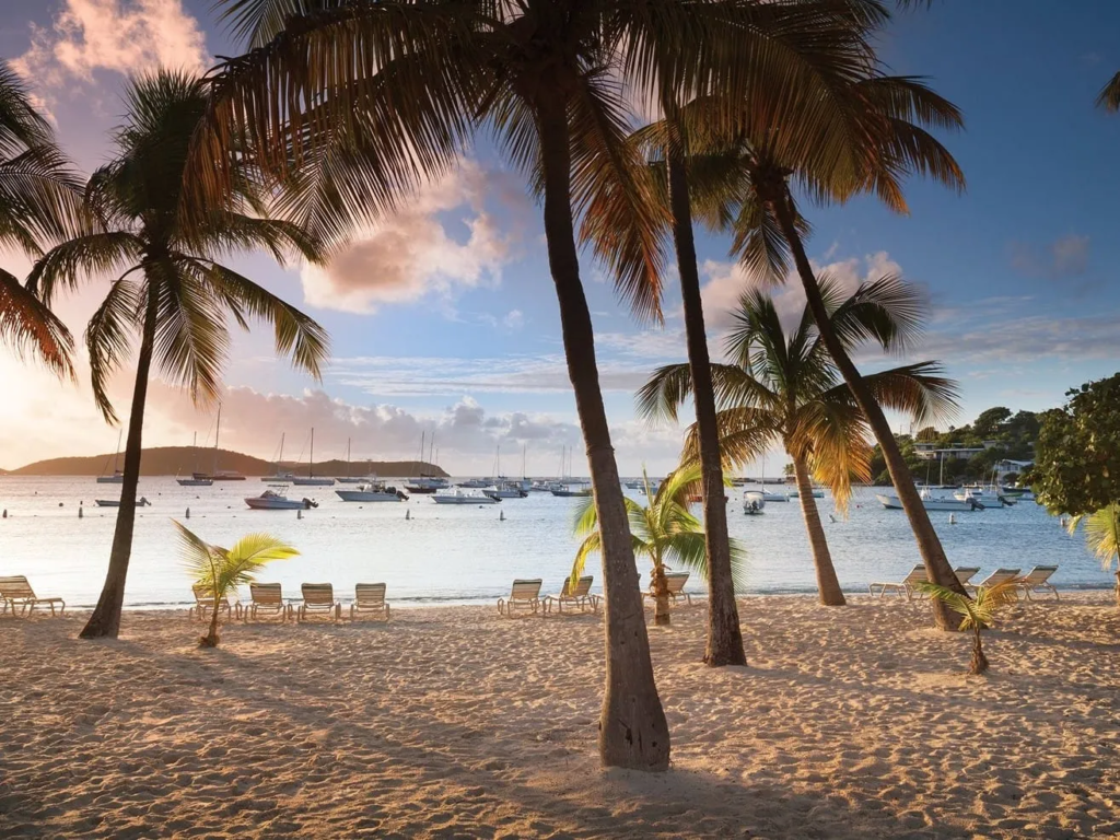 Palm-lined beach and moored boats at Elysian Beach, St. Thomas