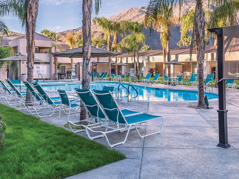 A resort swimming pool lined with teal lounge chairs and palm trees against a mountain backdrop, ideal for warm weekend getaways.