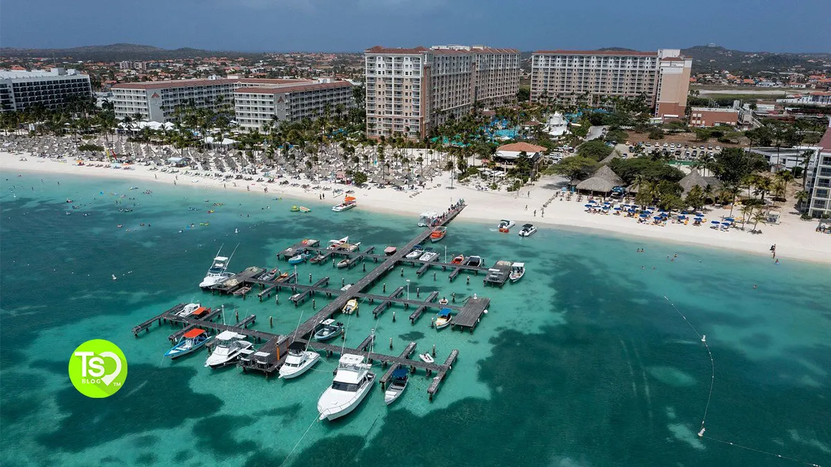Marriott Aruba Surf Club vs Ocean Club