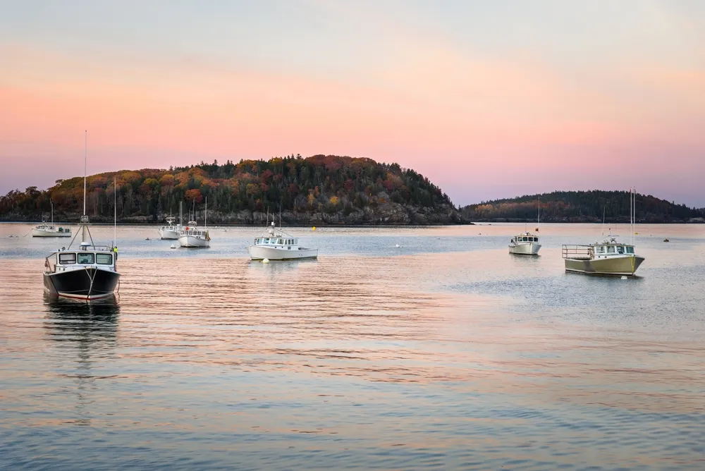 Boats on the Water in Bar Harbor