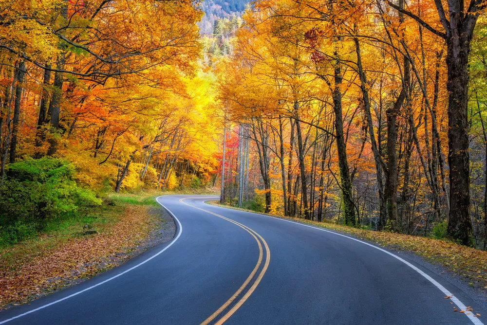 Best Places to Go for Fall: Smoky Mountains Scenic Drive