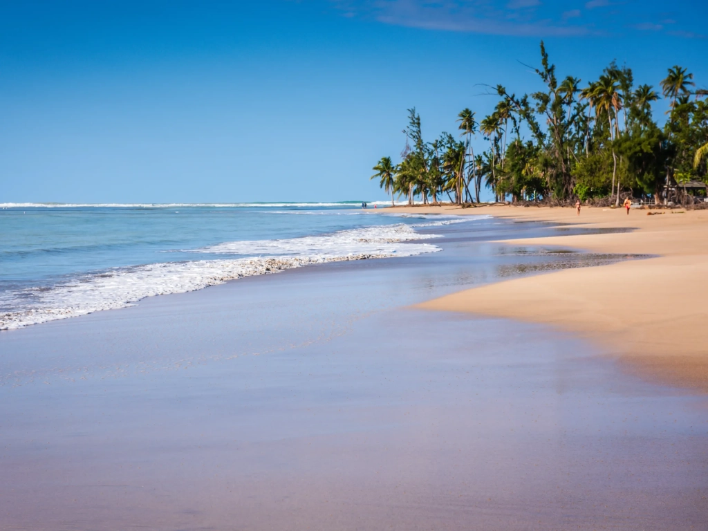 Calm tropical beach at RCI resorts in Puerto Rico, with golden sand, palm trees, and clear blue skies.