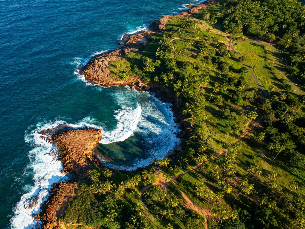 Aerial view of rocky coastline with turquoise waves and dense palm tree forest in Puerto Rico.