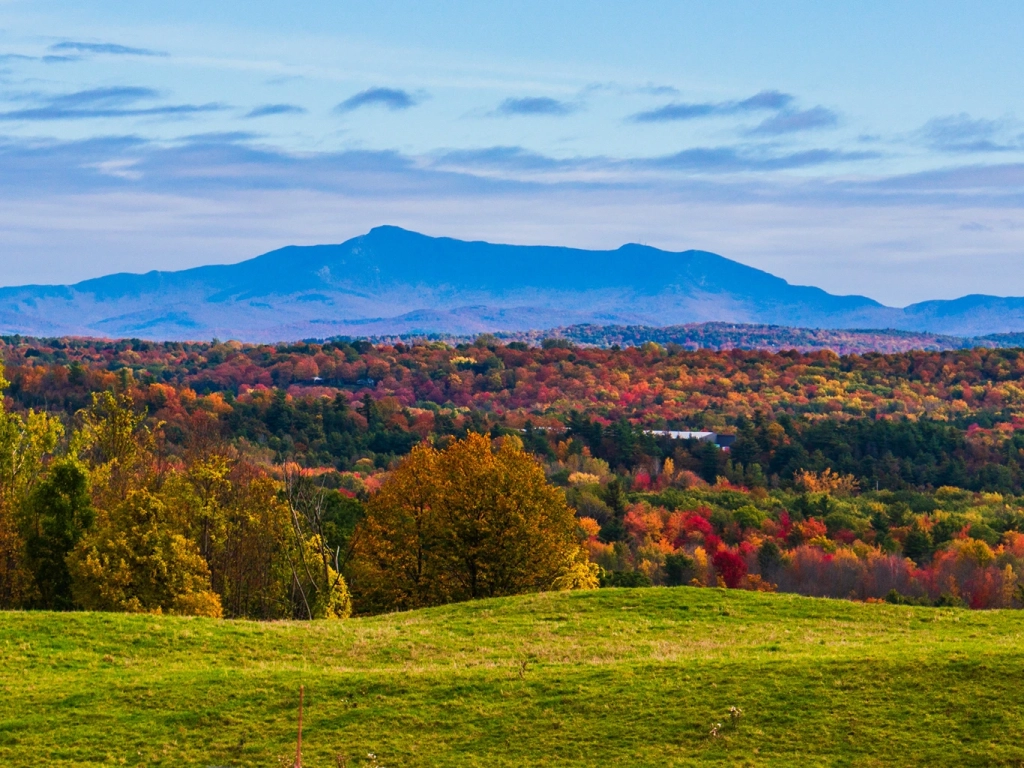 Fall Activities: Fall Foliage