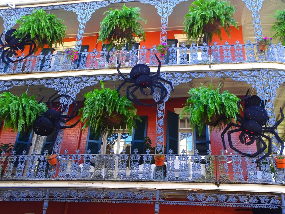New Orleans Fall Activities