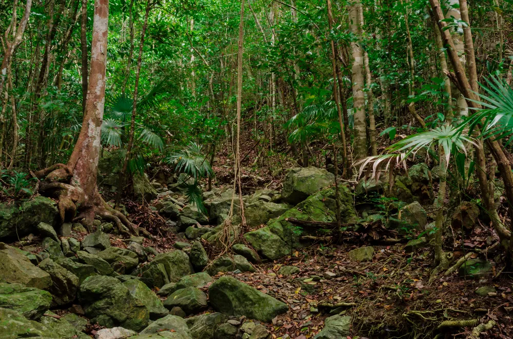 Virgin Islands National Park