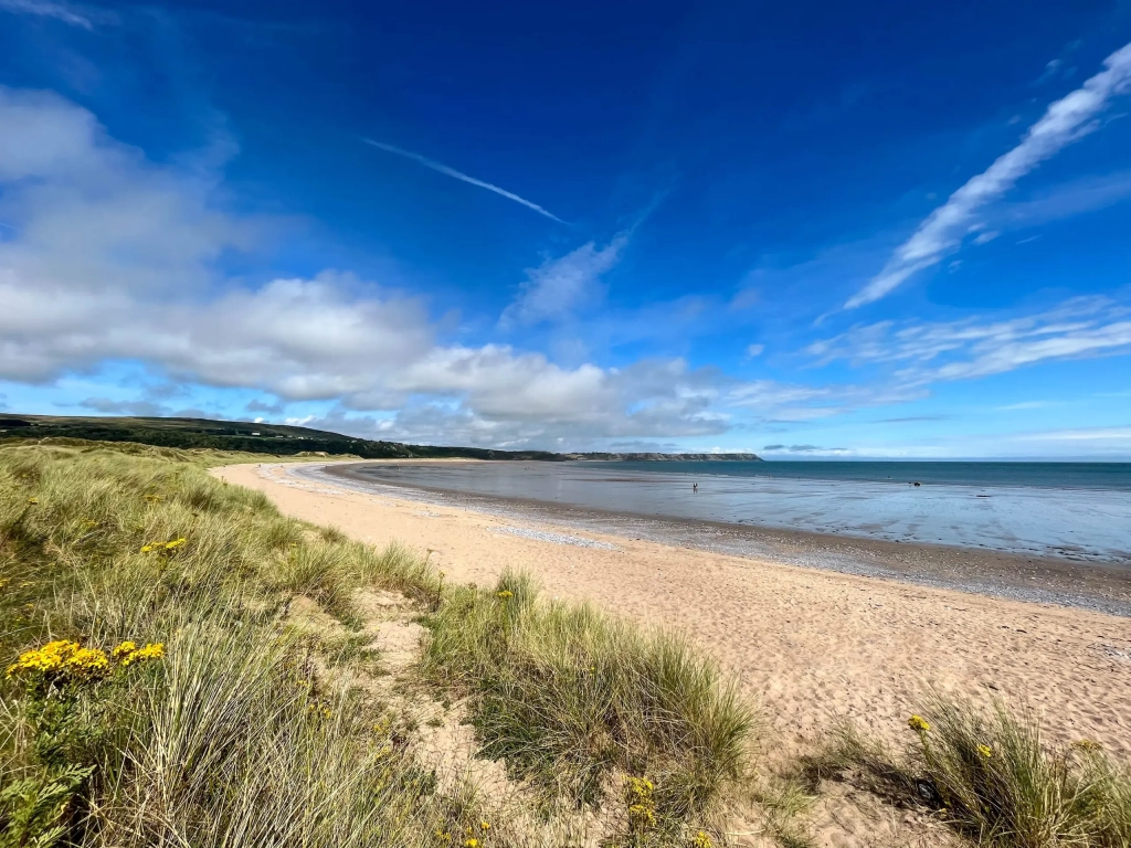Sandy beach curving along a calm bay with marram grass dunes, yellow wildflowers, and a blue sky with wispy clouds.