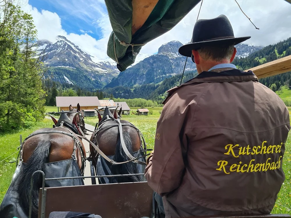 Hotel Alpenland Horse