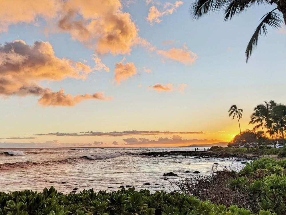 Kauai Ocean