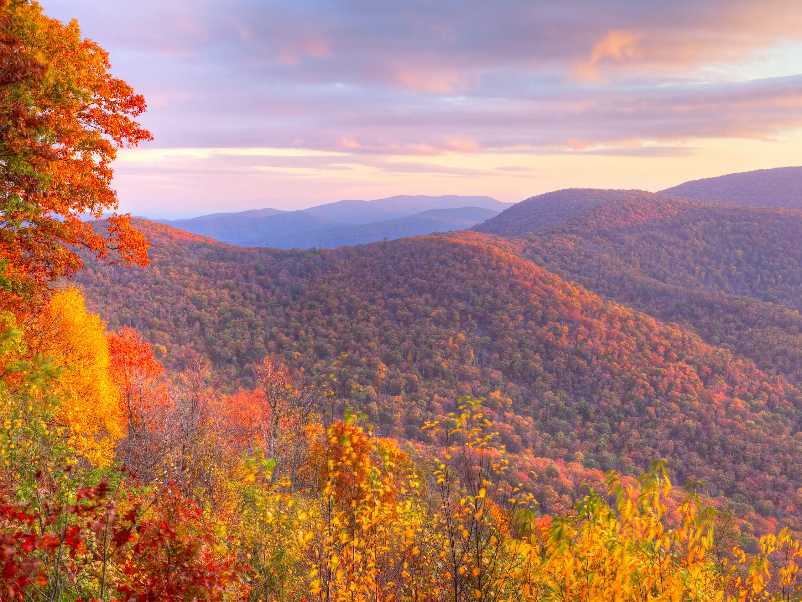 Fall foliage in red and orange hues across rolling ridges at one of the best national parks during sunset.